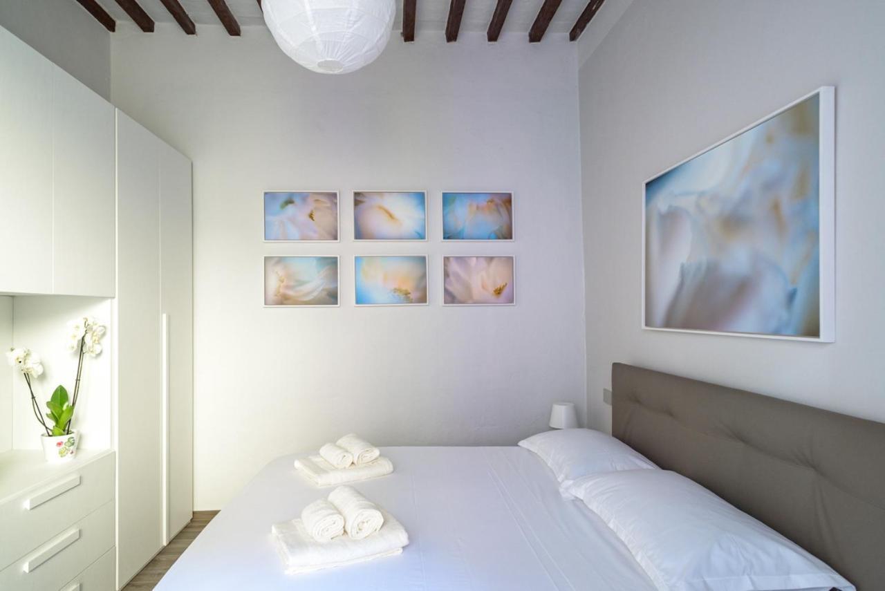 Pisa Art Apartment Zewnętrze zdjęcie